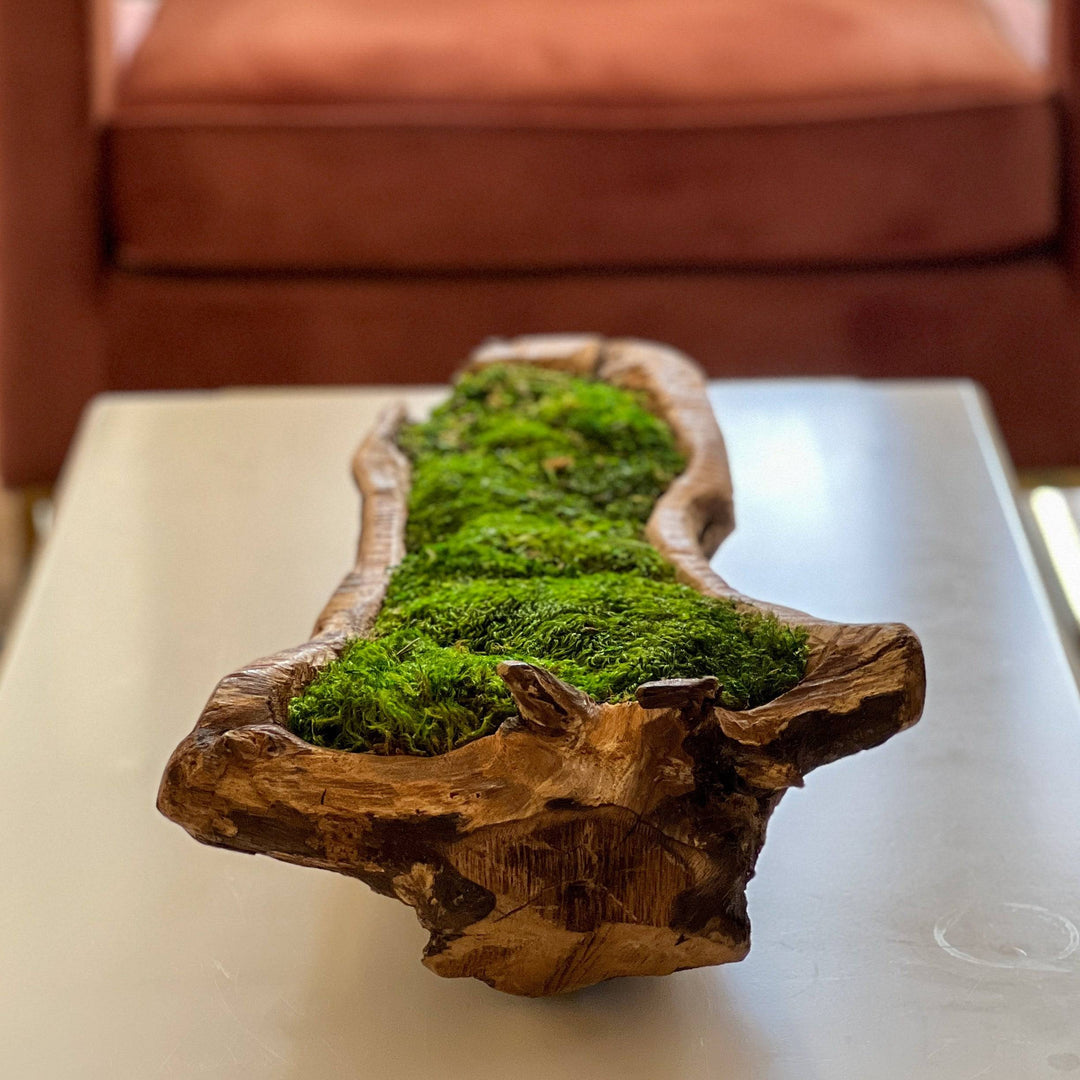 Carved Out Wooden Bowl with Mood Moss - MossFusion