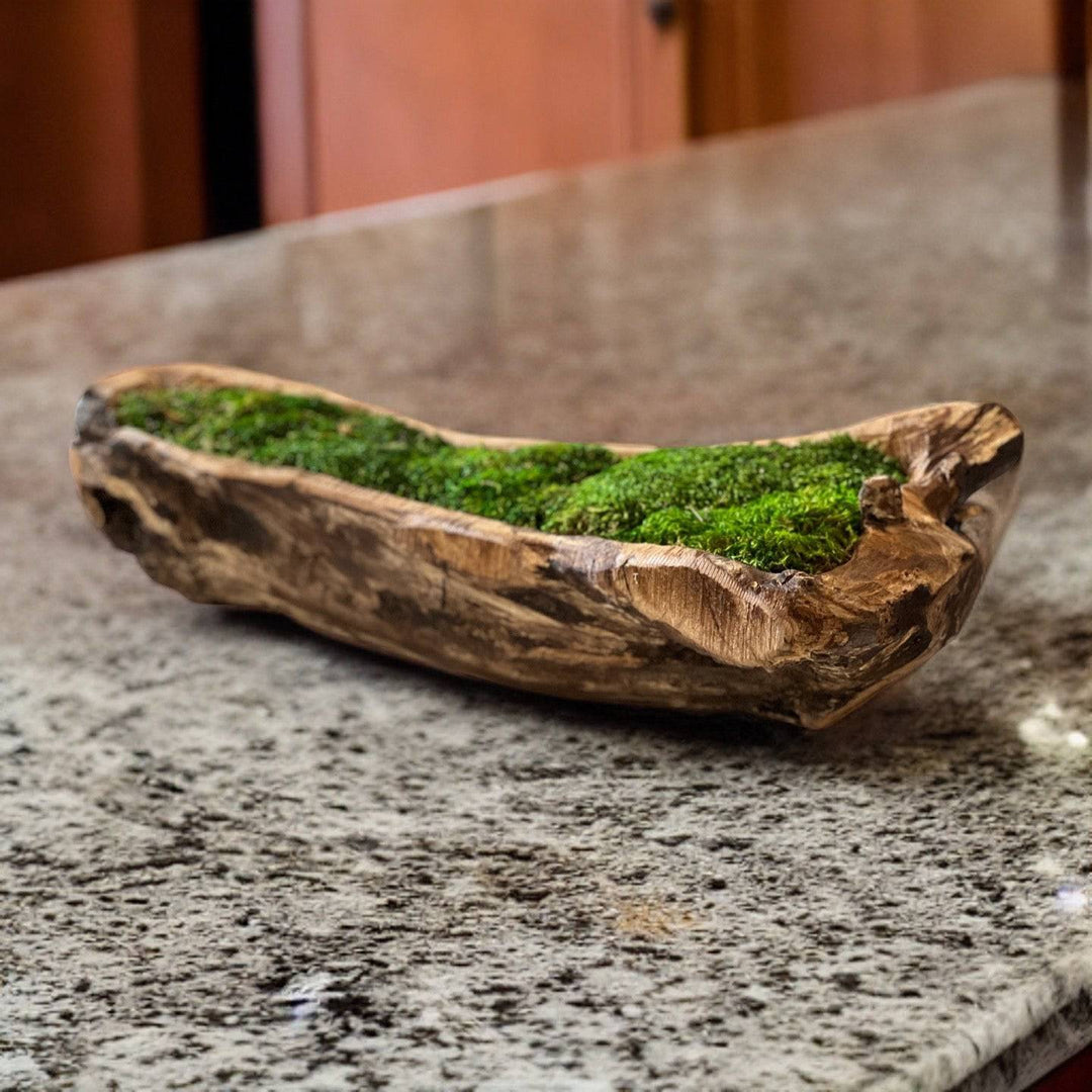 Carved Wooden Bowl Centerpiece with Lush Moss - MossFusion