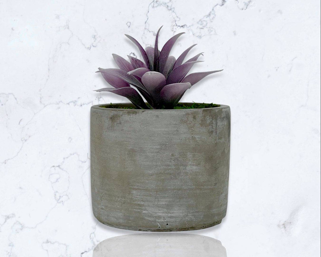 Cement Cylinder Moss & Succulent Centerpiece - MossFusion