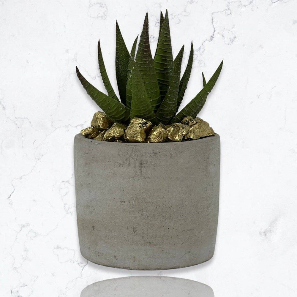 Cement Cylinder Moss & Succulent Centerpiece - MossFusion