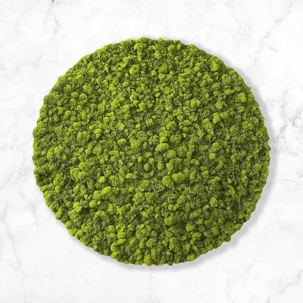 Circular Hanging Moss Wall Art - MossFusion