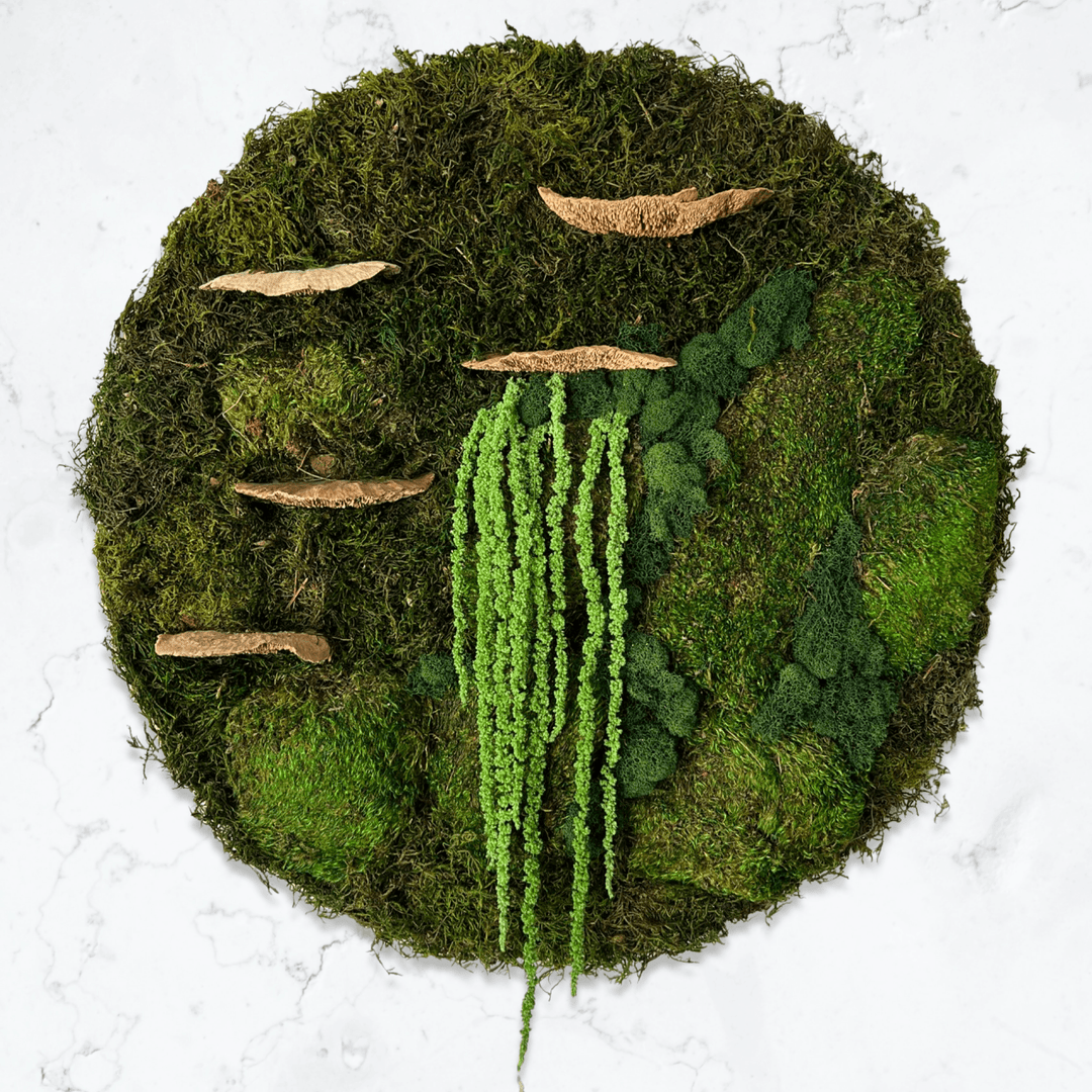 Circular Moss & Amaranthus Wall Art - MossFusion