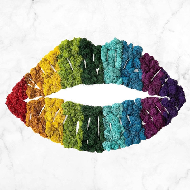 Colorful Rainbow Moss Lip Wall Art - MossFusion