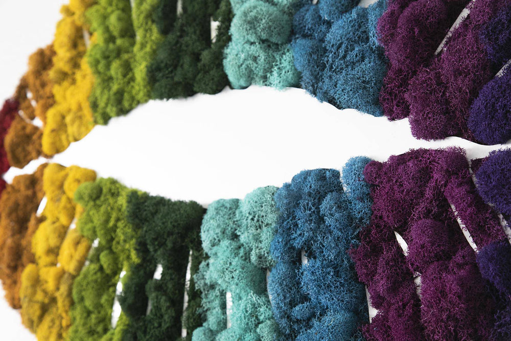 Colorful Rainbow Moss Lip Wall Art - MossFusion