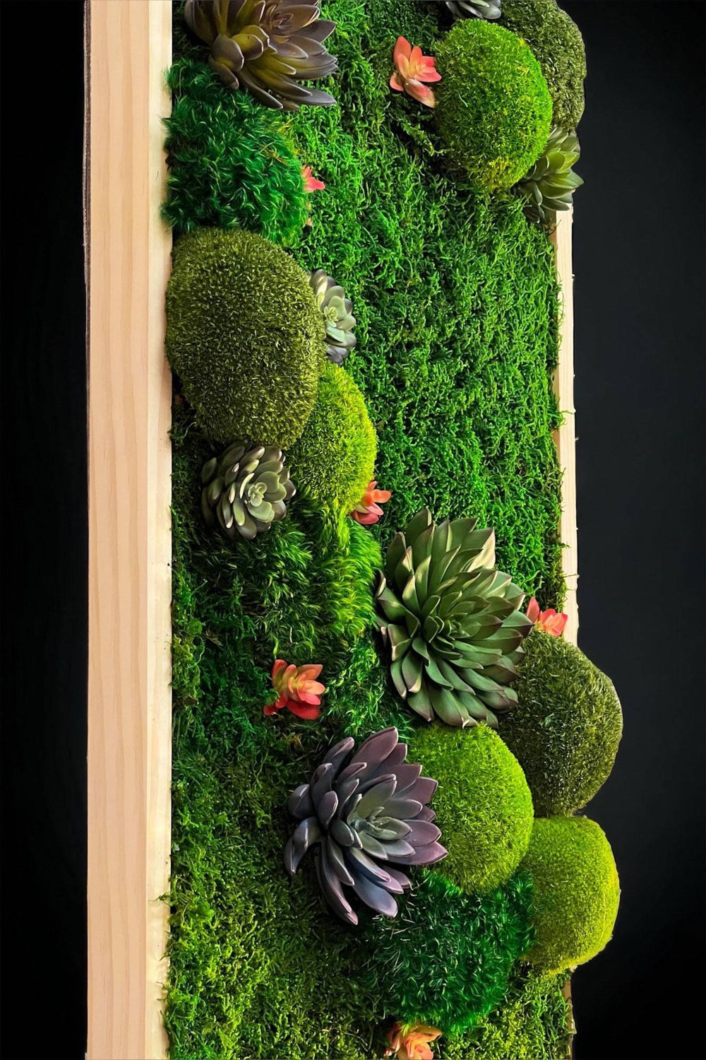 Cushion Extended Hexagon Moss Art - MossFusion