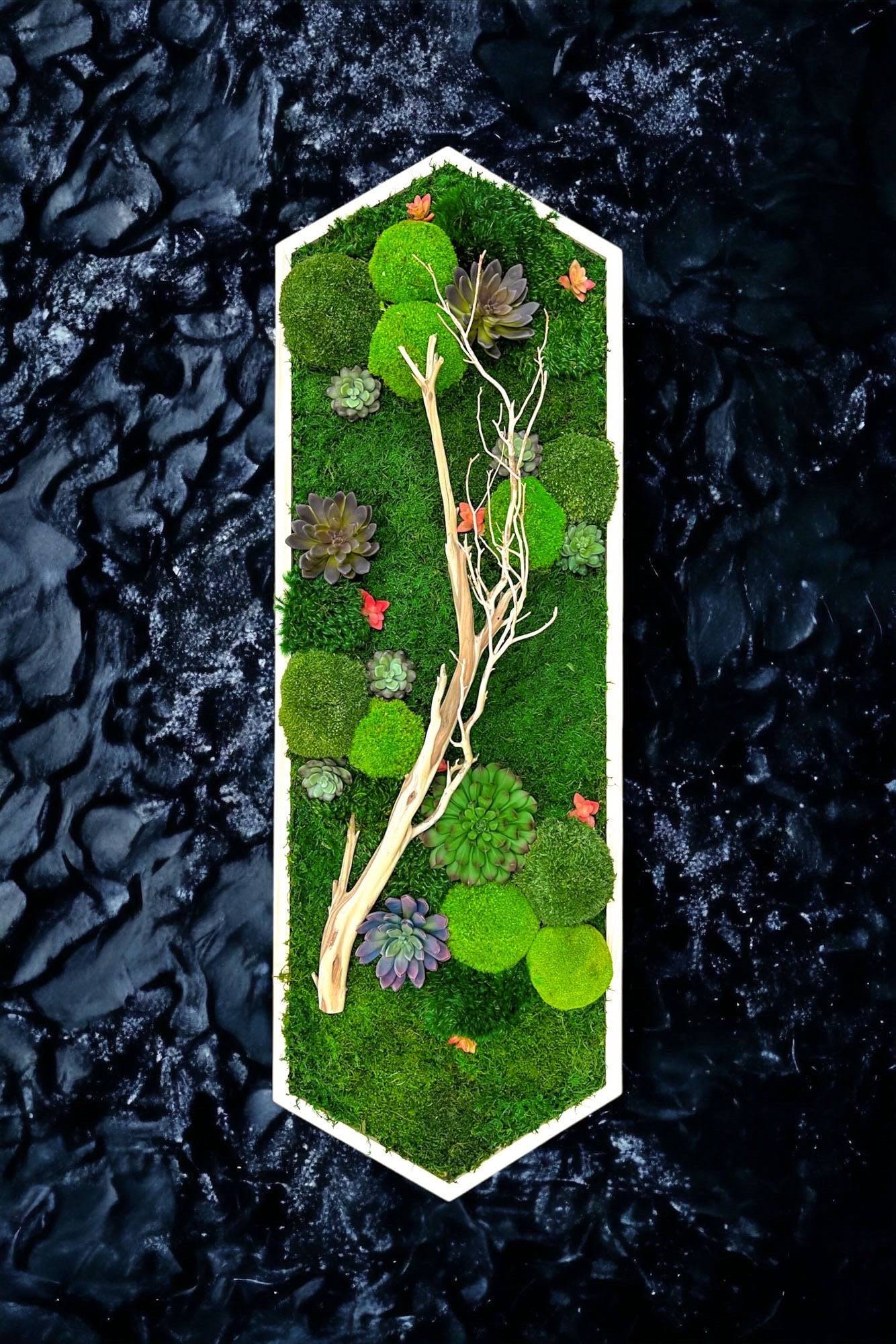 Extended Hexagon Moss Art for Sale Moss Fusion