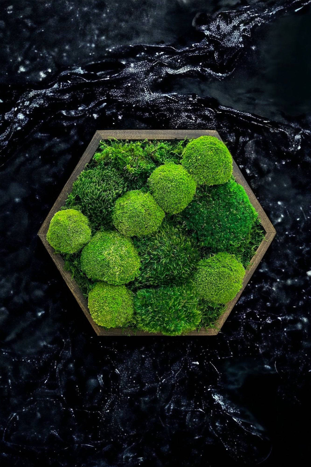 Cushion Moss Hexagon Wall Art - MossFusion