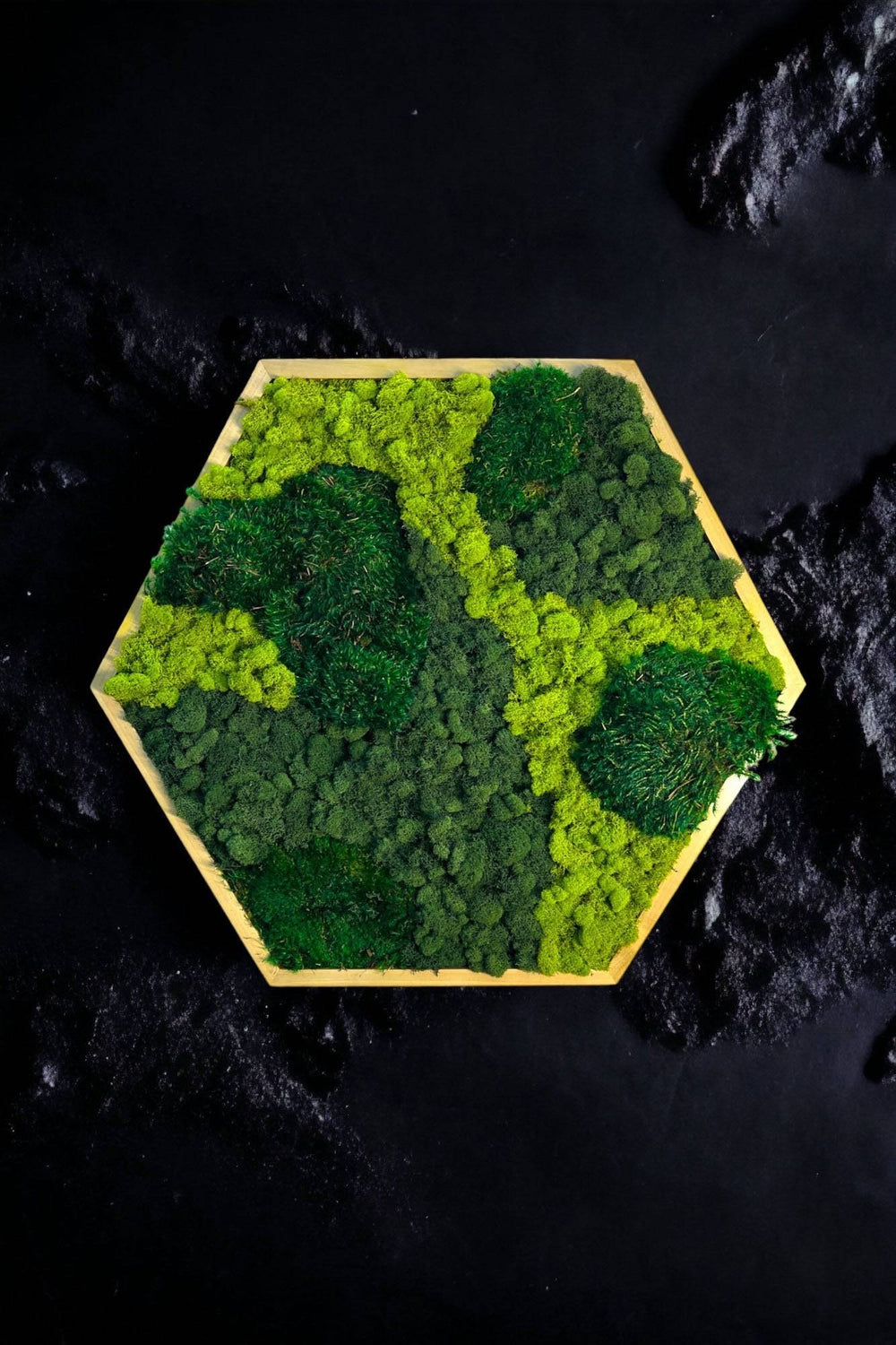 Cushion Moss Hexagon Wall Art - MossFusion