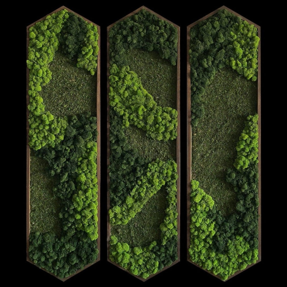Extended Hexagon Moss Art - MossFusion