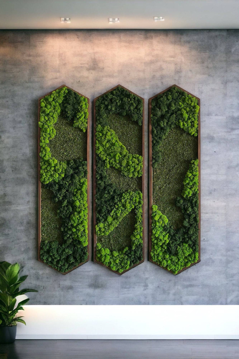 Extended Hexagon Moss Art - MossFusion