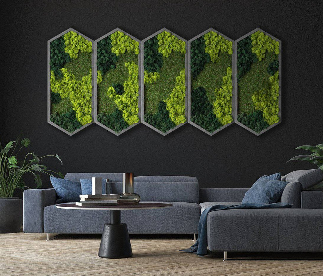 Extended Hexagon Moss Art - MossFusion