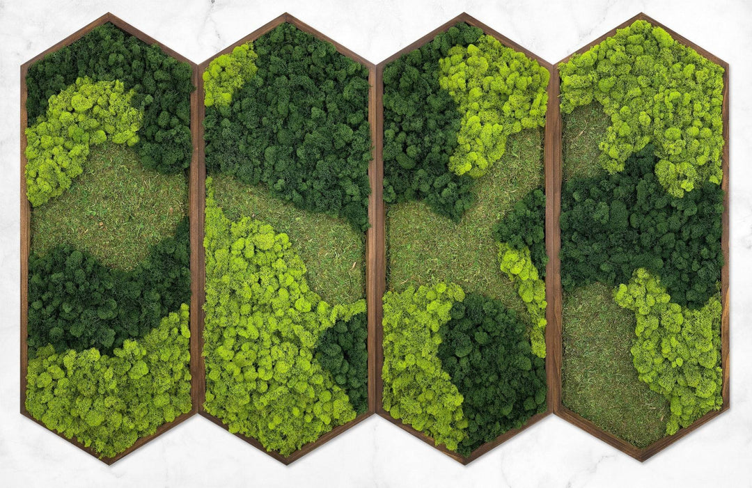 Extended Hexagon Moss Art - MossFusion