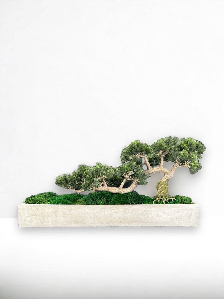 Faux Bonsai Tree in Concrete Planter with Preserved Moss - MossFusion