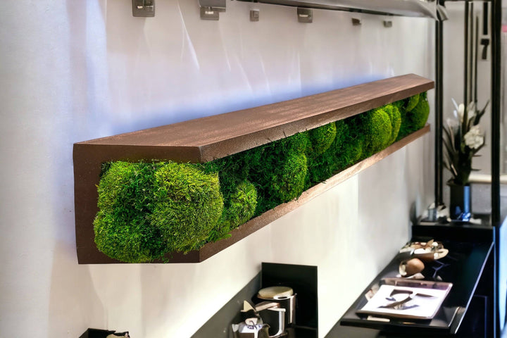 Floating Moss Shelves - MossFusion