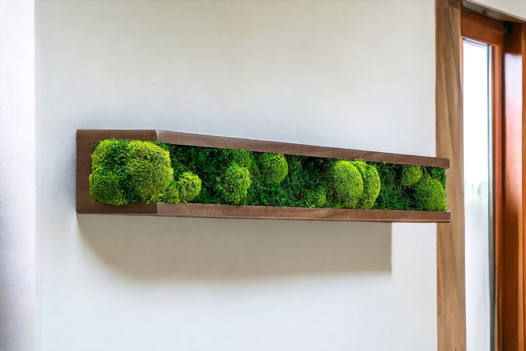 Floating Moss Shelves - MossFusion