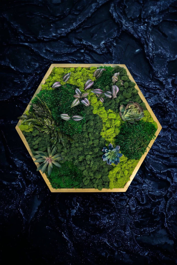 Floral Hexagon Moss Wall Art - MossFusion