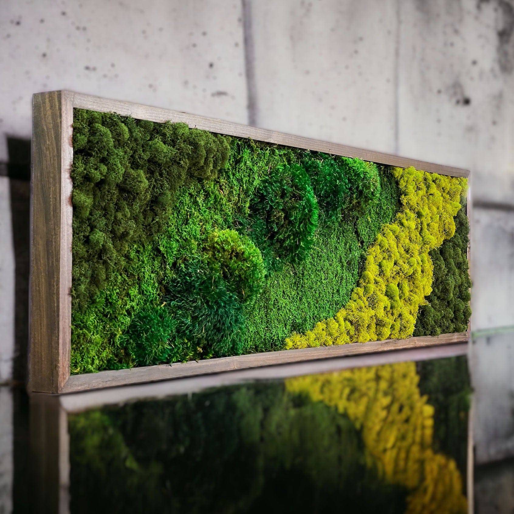Moss Wall - Rectangular Mixed Moss Wall Art - Mossartify