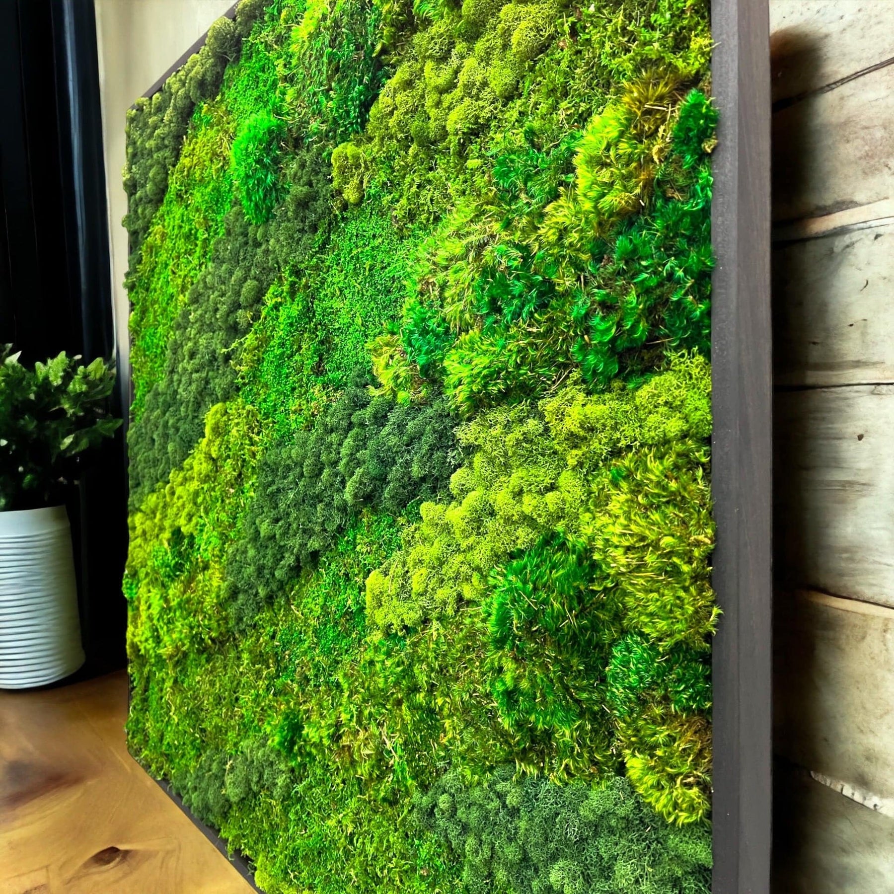 Forest Dawn Moss Decor: Moss Wall Frames