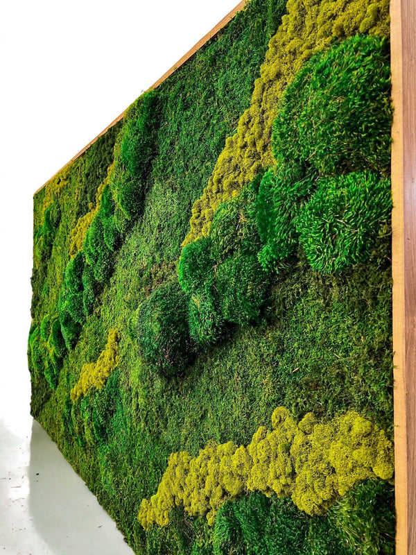 Forest Ground Mood Moss Wall Art - MossFusion