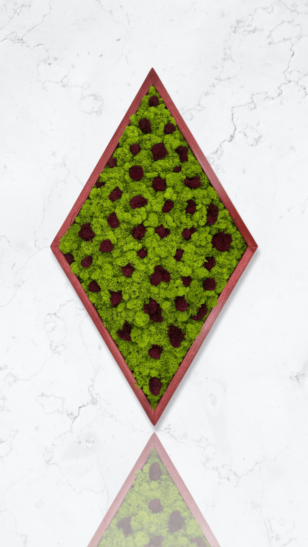 Framed Diamond Moss Wall Art - MossFusion