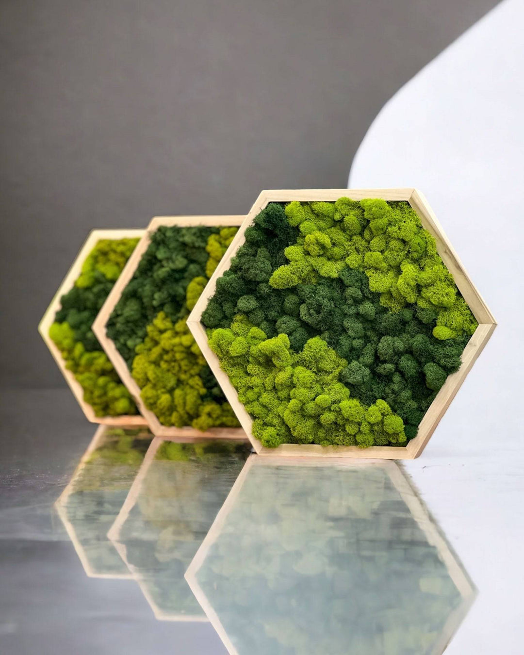 Framed Hexagon Moss Wall Art - MossFusion