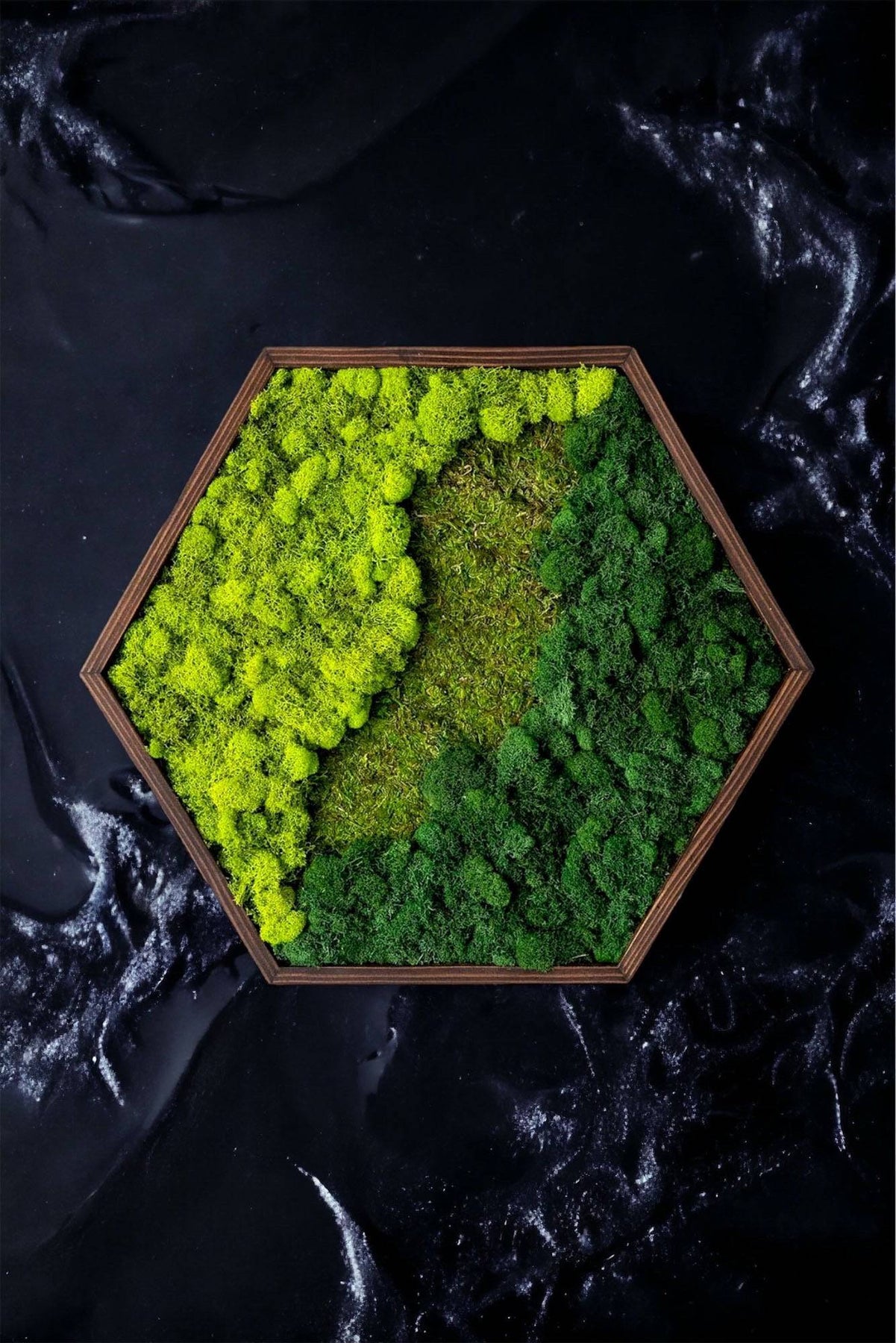 Moss and Cork Hexagon: Moss Panel