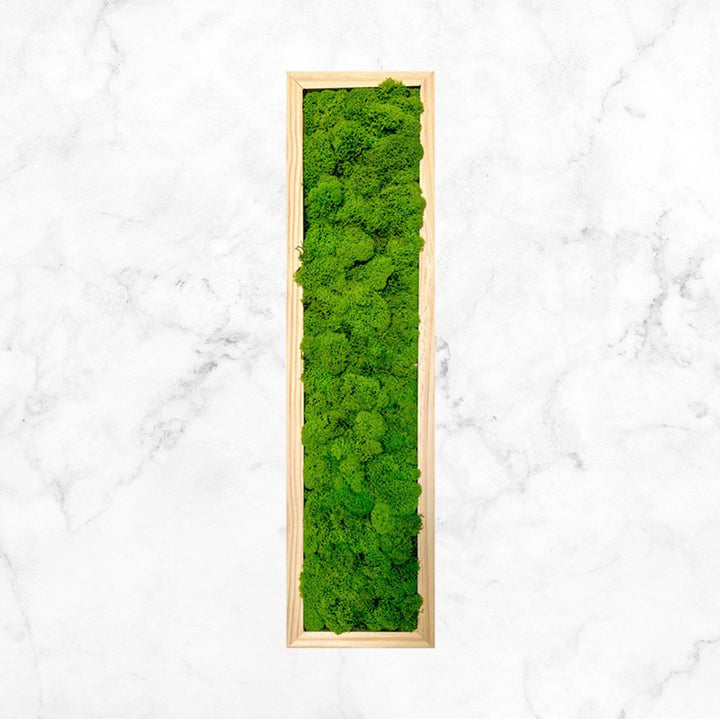 Framed Moss Strips - MossFusion