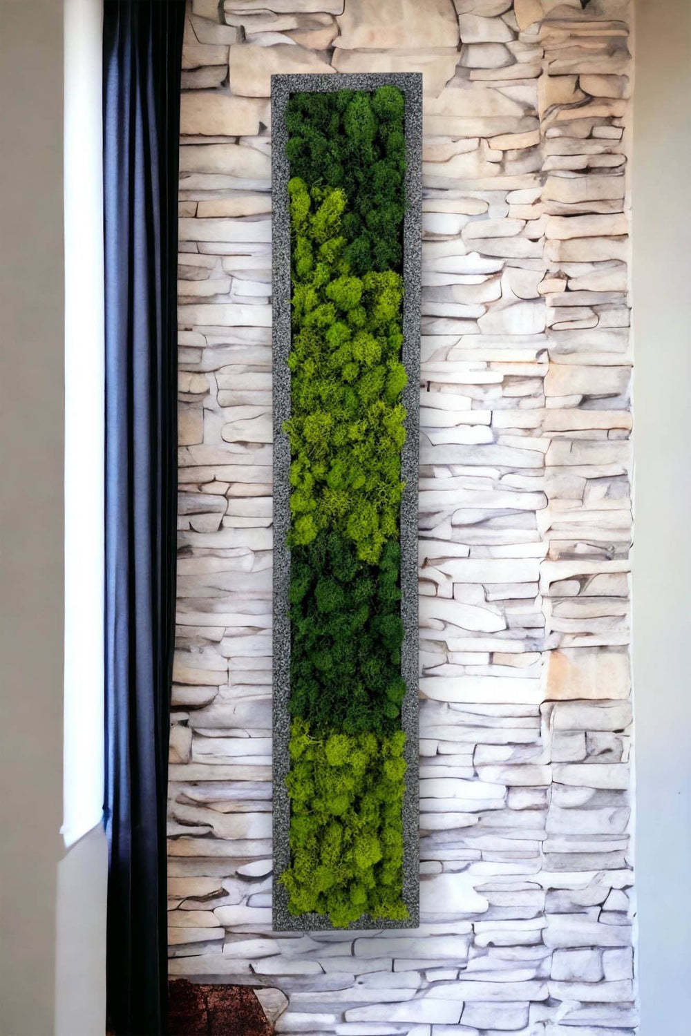 Framed Moss Wall Art Strips - MossFusion