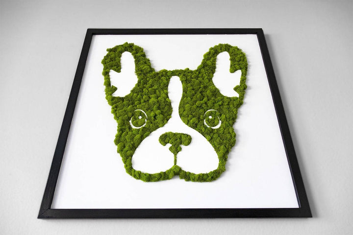 French Bulldog Moss Wall Art - MossFusion