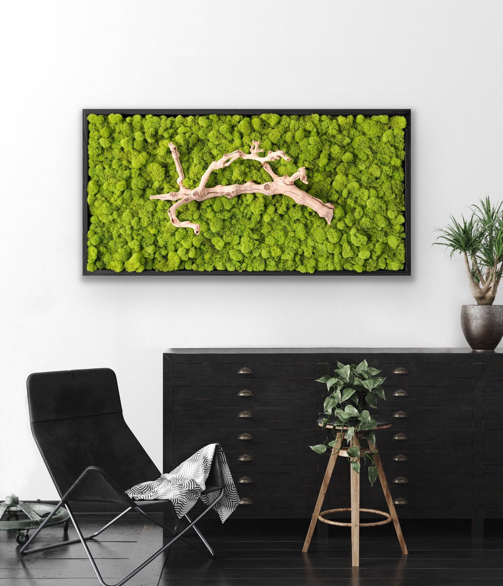 Grapevine Root & Moss Wall Art - MossFusion