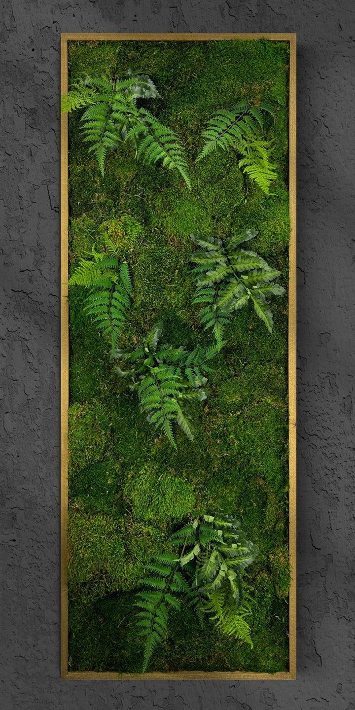 Green Oasis Moss Wall Art - MossFusion