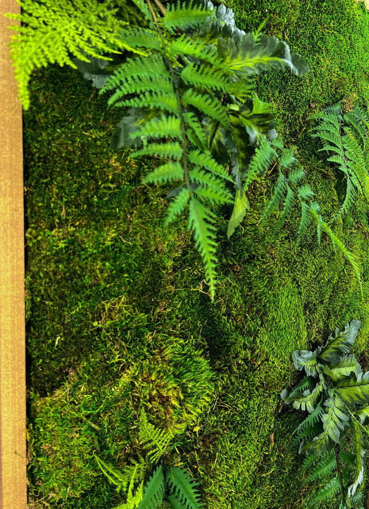 Green Oasis Moss Wall Art - MossFusion