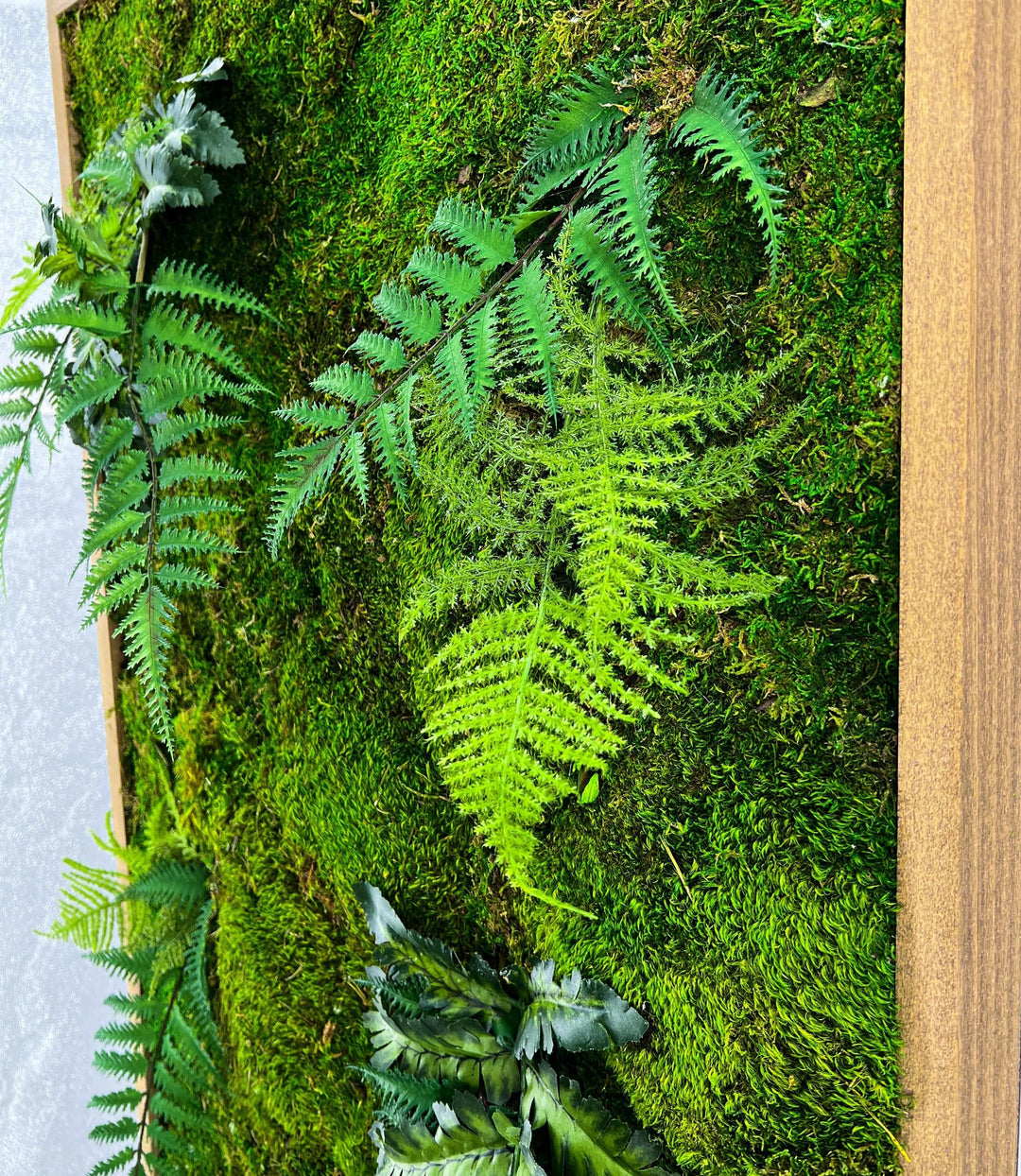 Green Oasis Moss Wall Art - MossFusion