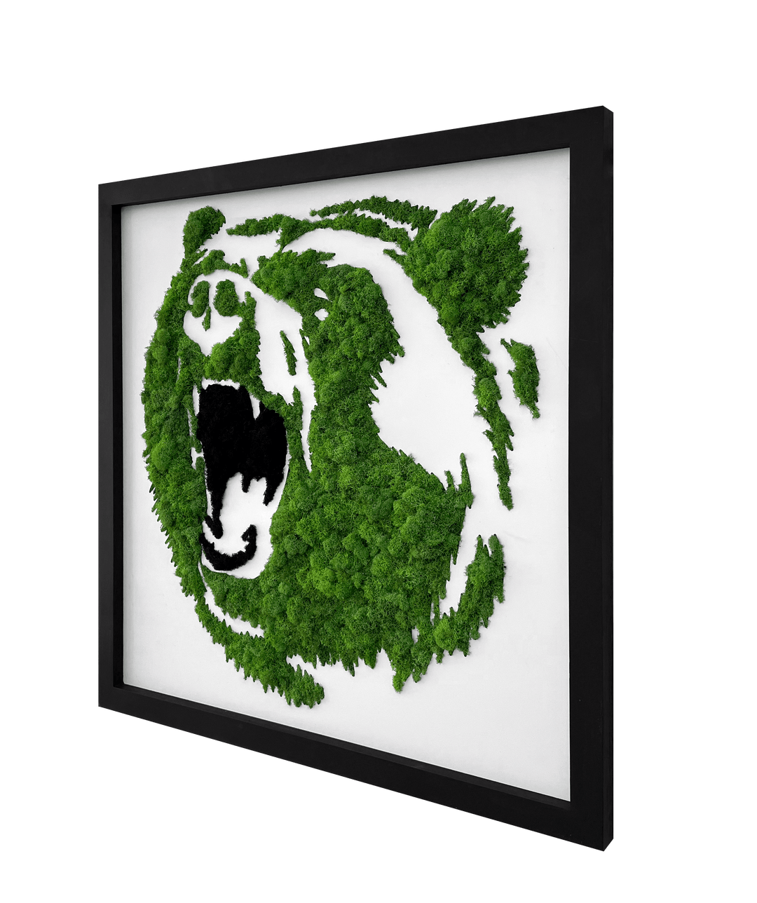 Grizzly Bear Moss Wall Art - MossFusion