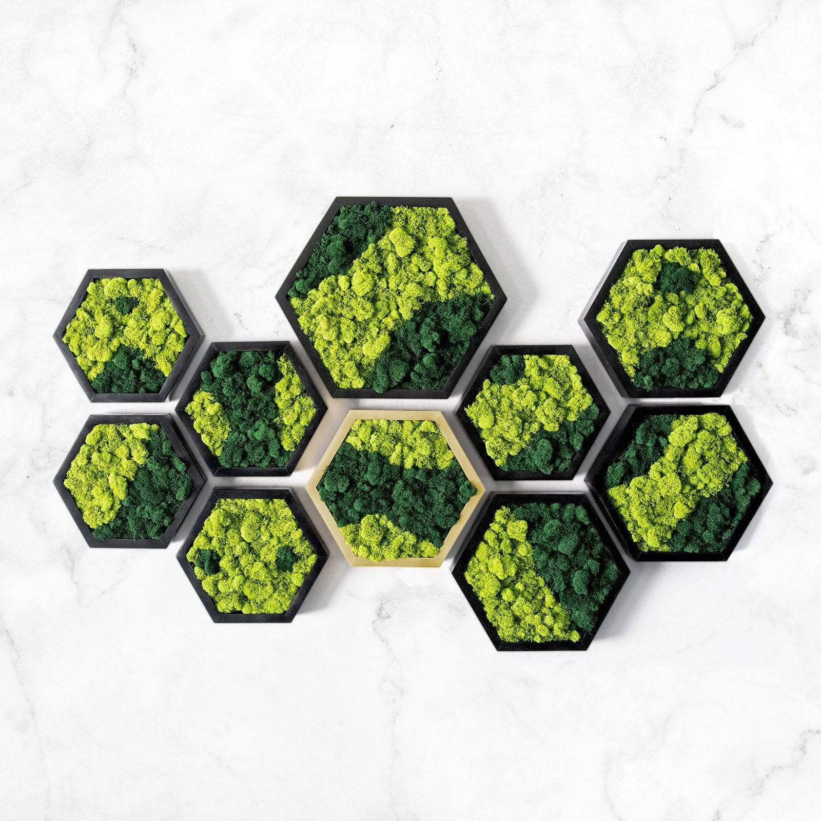 Hexagon Moss Art Decor - MossFusion