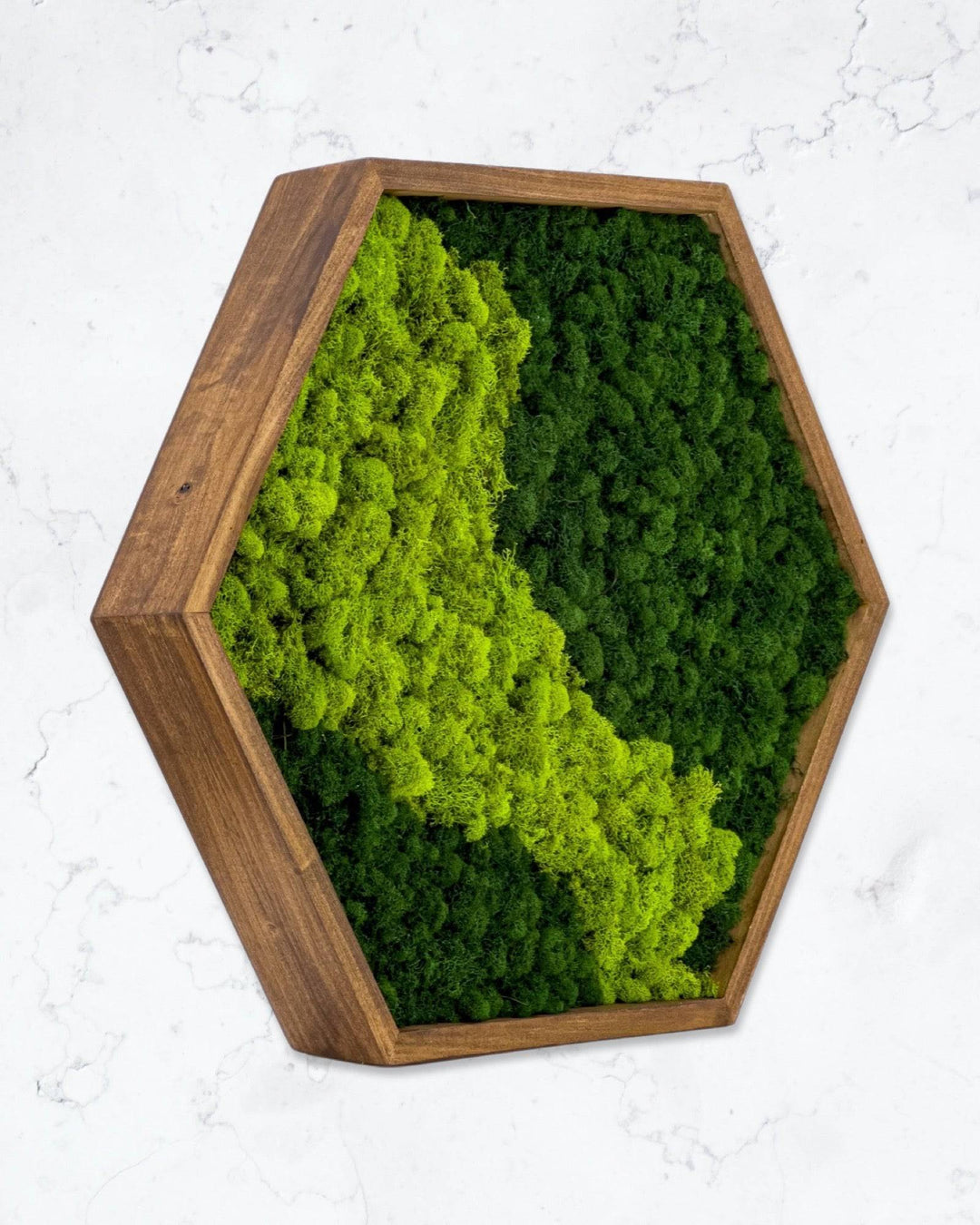 Hexagon Moss Art Decor - MossFusion