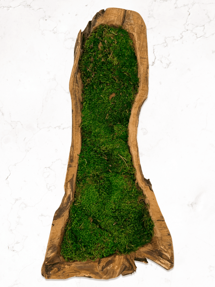 Carved Wooden Bowl Centerpiece with Lush Moss - MossFusion