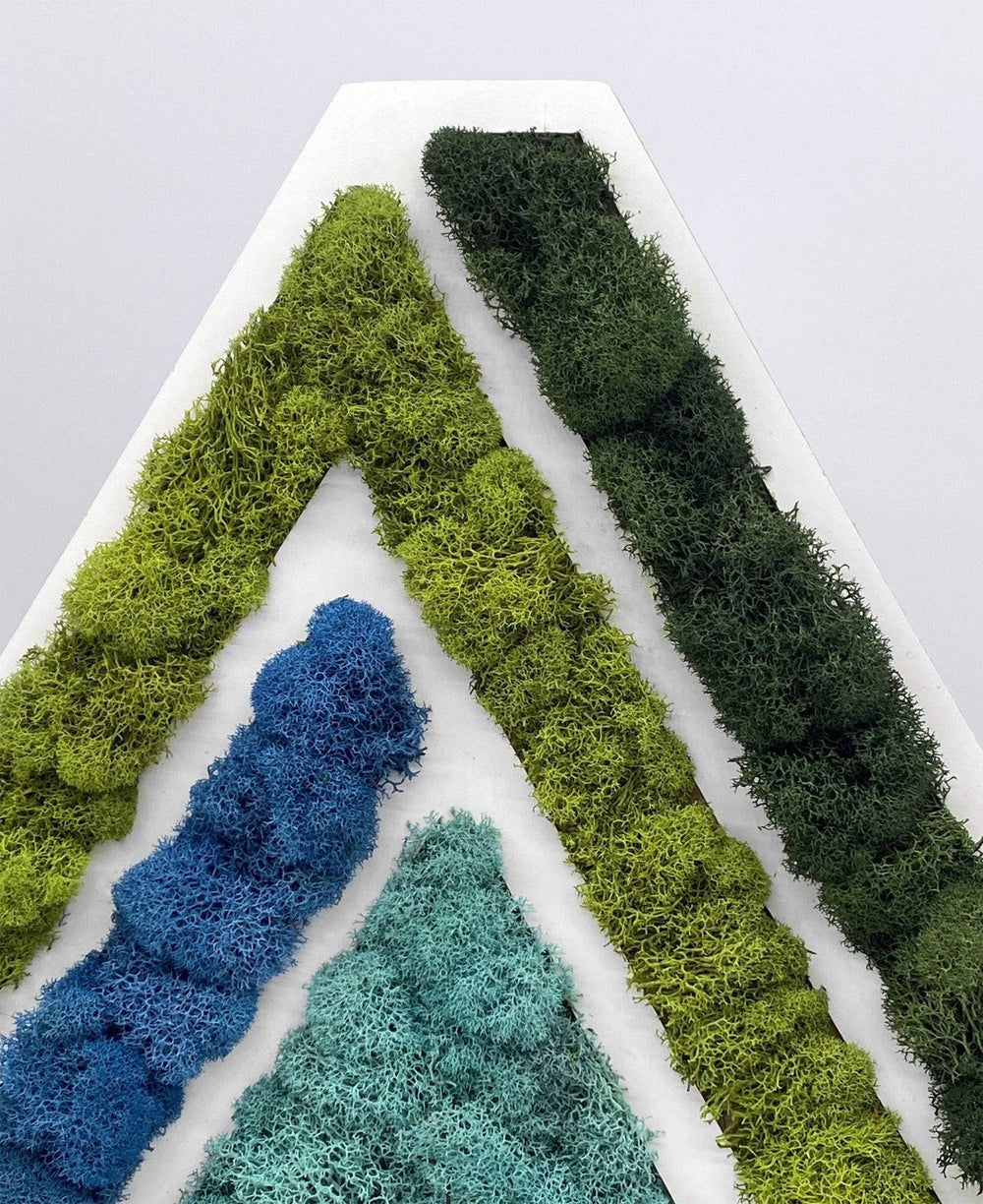 Infinity Triangle - MossFusion