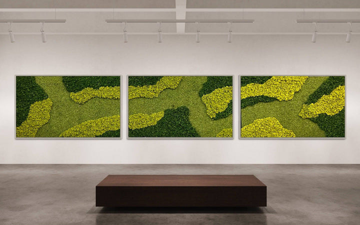 Mixed Moss Garden Wall Art - MossFusion