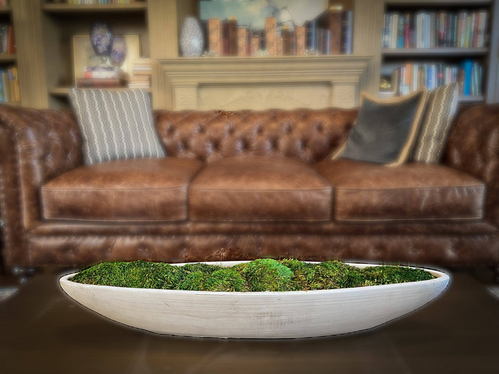 Mood Moss in Concrete Bowls Center Piece - MossFusion
