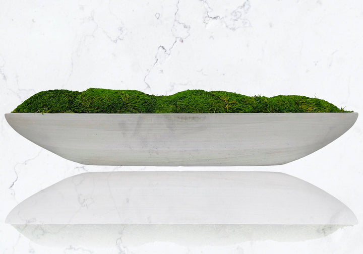 Mood Moss in Concrete Bowls Center Piece - MossFusion