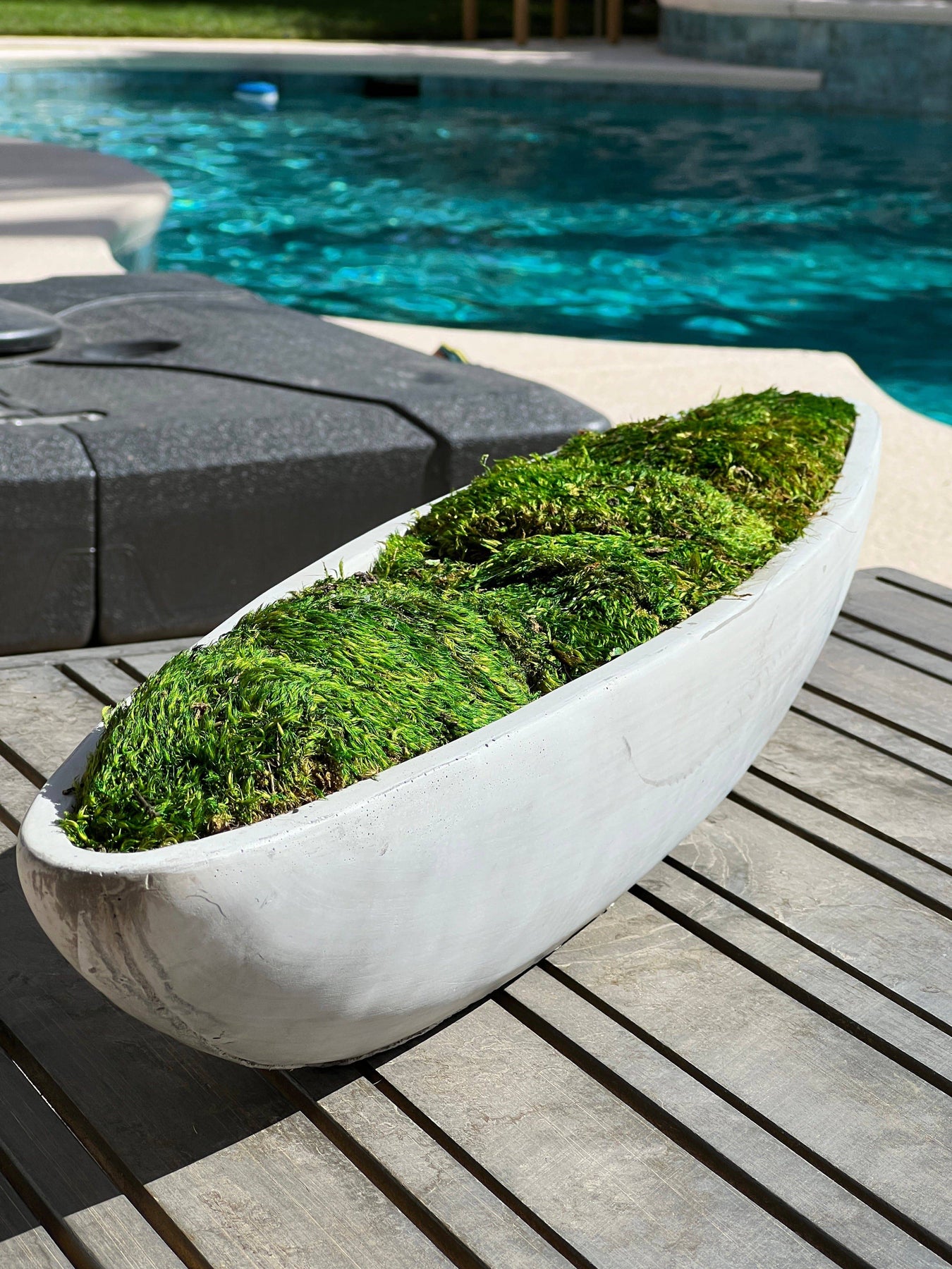 SALE Zen Concrete Handmade Moss Bowl Terrarium Centerpiece
