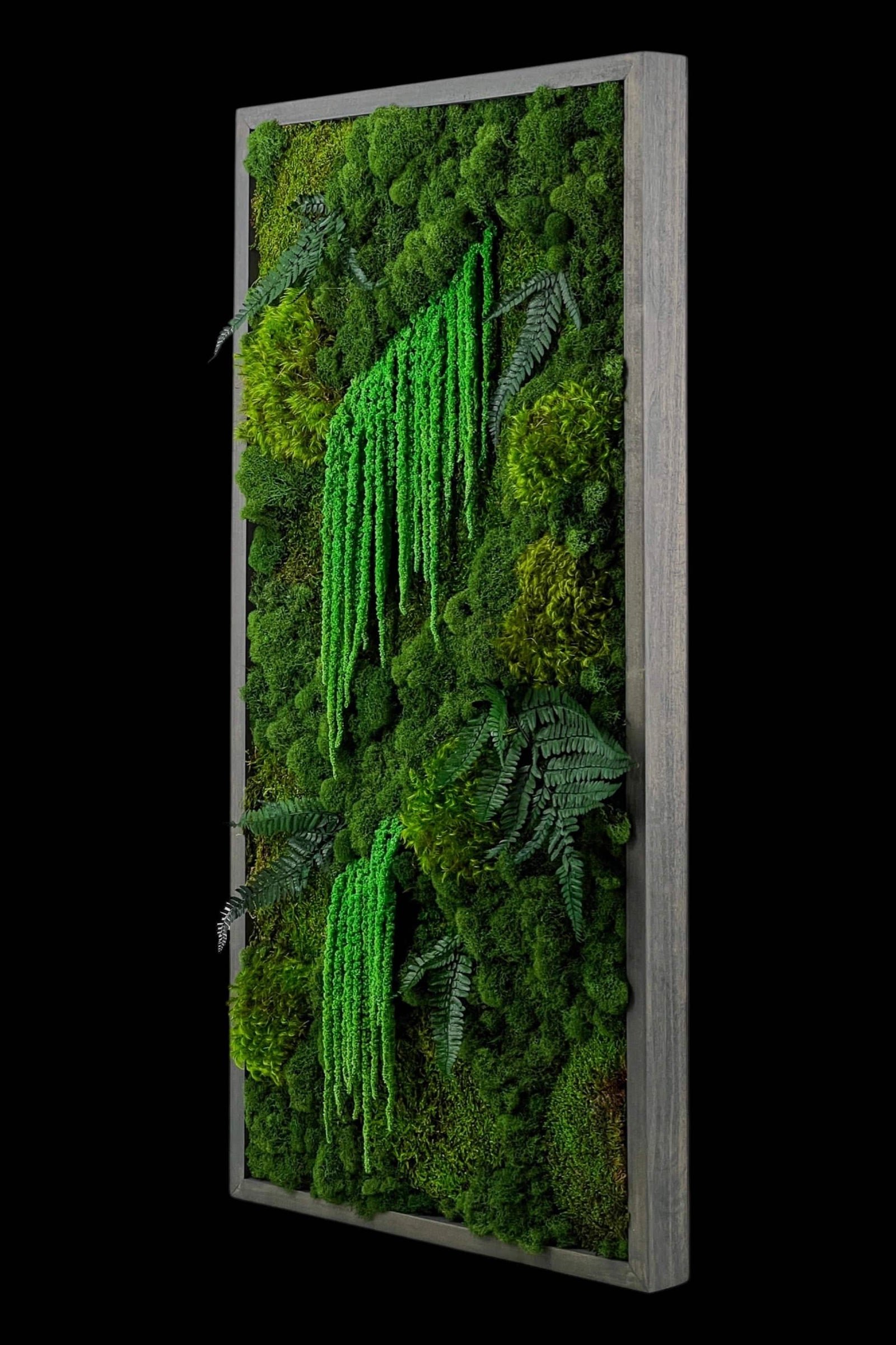 Framed Moss Wall Art