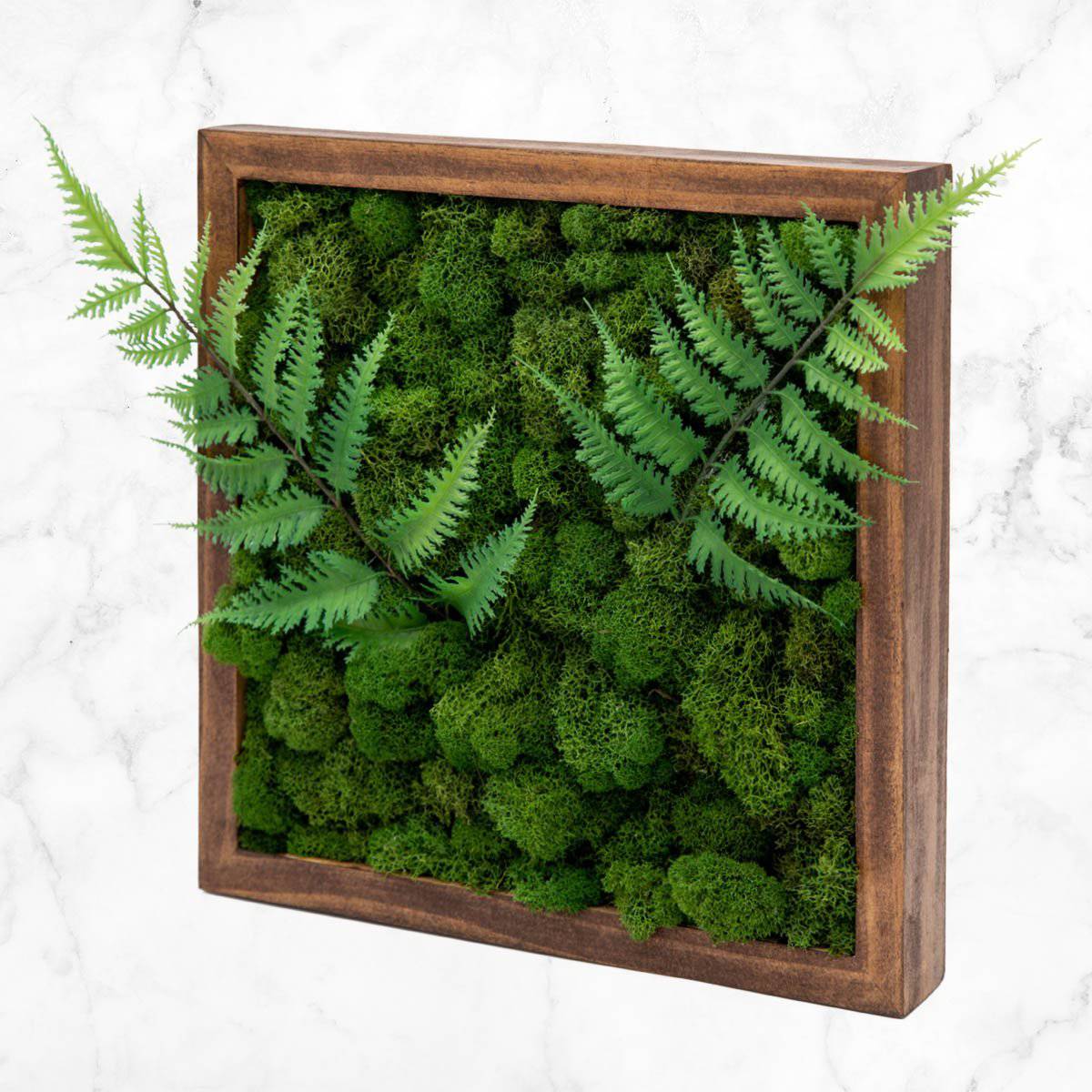 Ecosystem Moss Art Panels