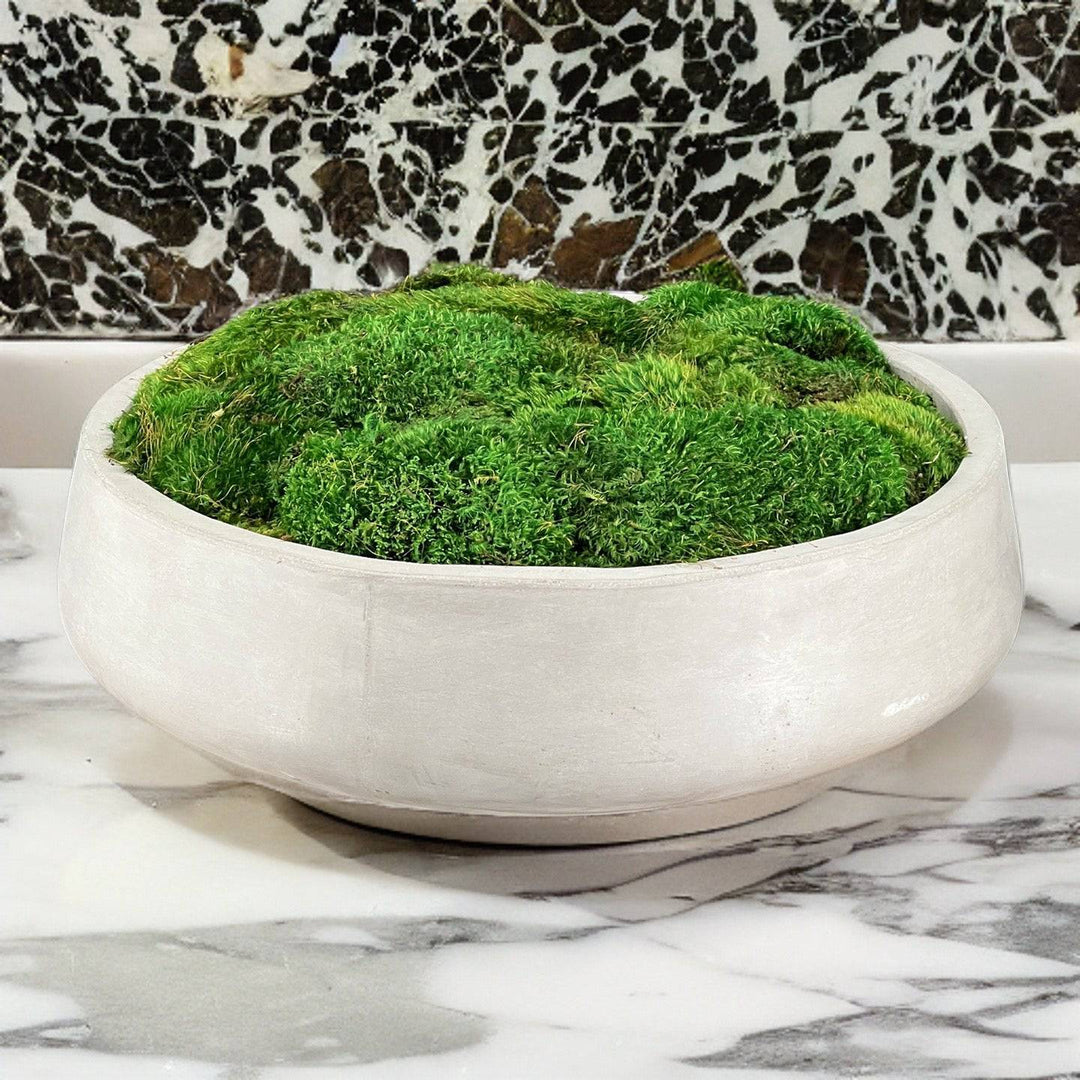 Moss in large Round Cement Bowl - MossFusion