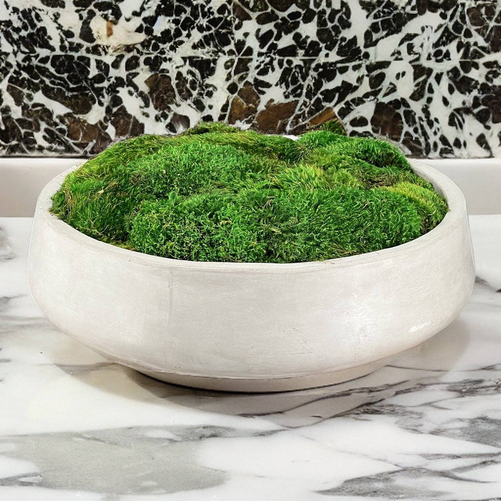 SOLD- Concrete Moss Bowl | Table Centerpiece