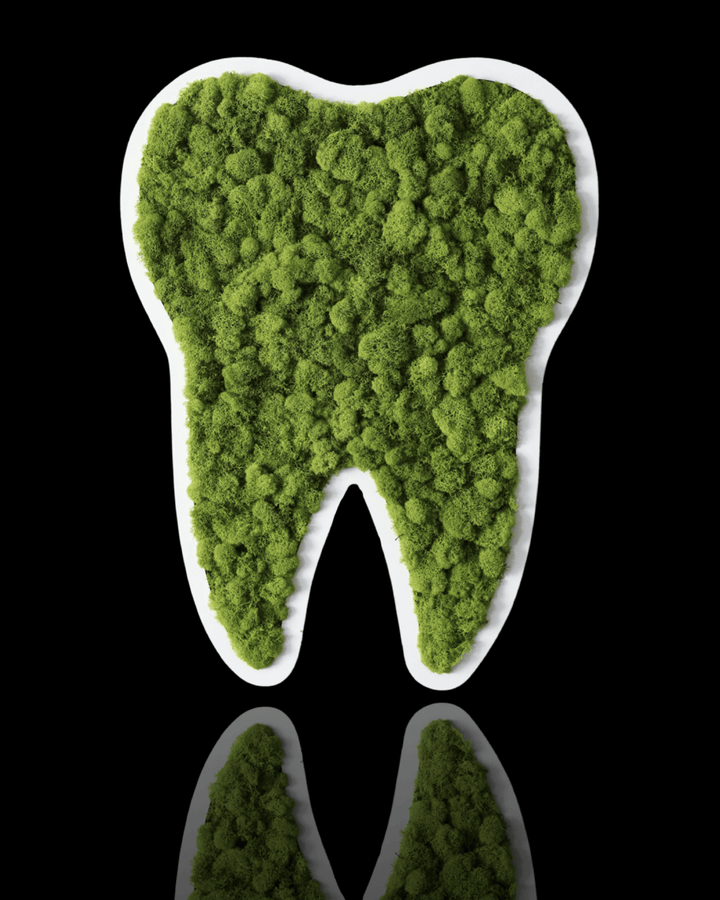 Moss Tooth Wall Art - MossFusion