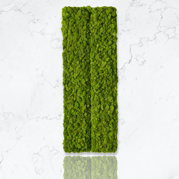 Moss Wall Panels and Strips - MossFusion