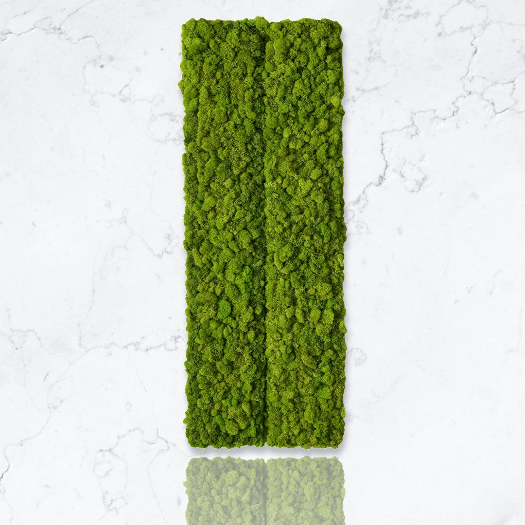 Preserved Moss Wall Panels For Sale Moss Fusion MossFusion