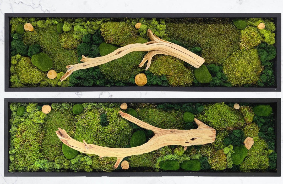 Natural Earthy Driftwood and Moss Art Piece - MossFusion